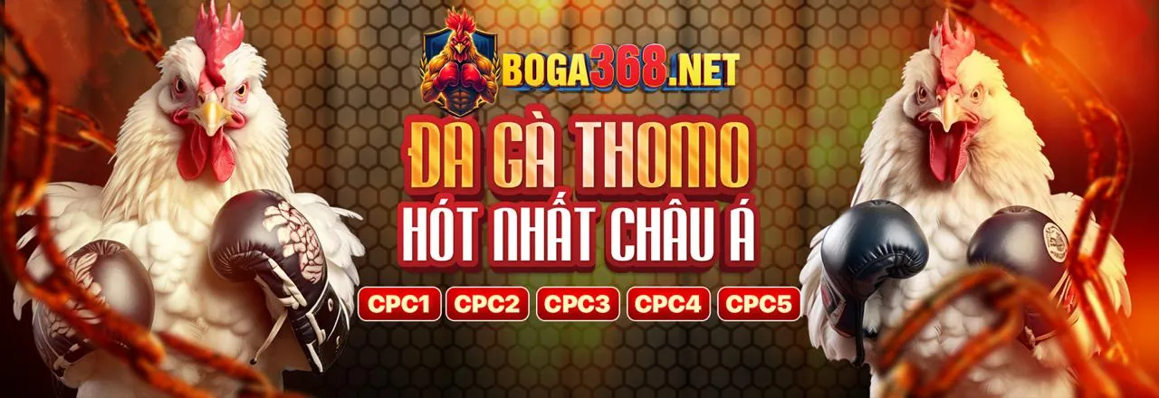 Hình ảnh đại diện Điều khoản Dịch vụ ft88 win
